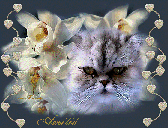 jolie création d'Amitié avec chat fleurs et coeurs