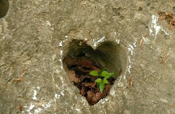 image d'un coeur creusé dans la pierre