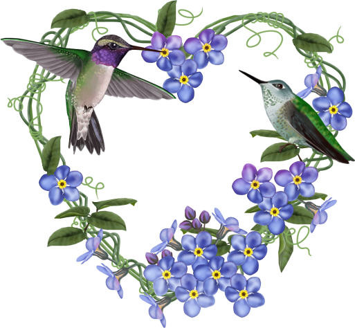Jolis colibris dans un beau coeur fleuri