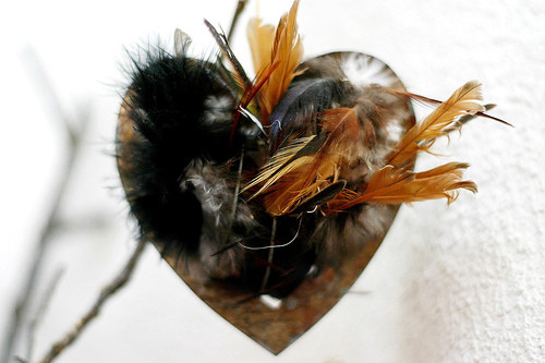 Coeur original avec des plumes