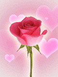 COEUR Animé jolie rose